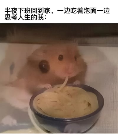 这张图片上方有文字“半夜下班回到家，一边吃着泡面一边思考人生的我：”，下方是一只仓鼠正专注地从碗里吃着面条的照片。图片通过将仓鼠吃面条的可爱模样与打工人深夜吃泡面思考人生的场景相结合，形成了幽默的对比和共鸣，用萌宠形象来表达现代人的生活状态和内心感受。