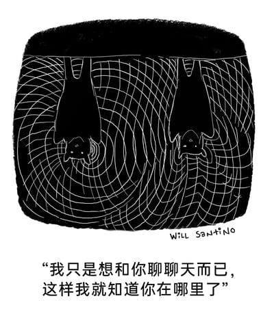 这是一幅由Will Santino创作的黑白冷幽默漫画，画面以黑白对比呈现，两只蝙蝠倒挂在类似蛛网的结构上，该结构将蝙蝠的回声定位功能以可视化的波纹形式展现。下方配文“我只是想和你聊聊天而已，这样我就知道你在哪里了”，巧妙地将蝙蝠依靠回声定位的生物学特性拟人化，把回声行为转化为生活化的聊天行为，用轻松的方式玩梗，营造出独特的冷幽默效果。画面风格简洁，线条清晰，蛛网的设计精准呼应了蝙蝠回声定位的特性，强化了幽默表达的合理性。