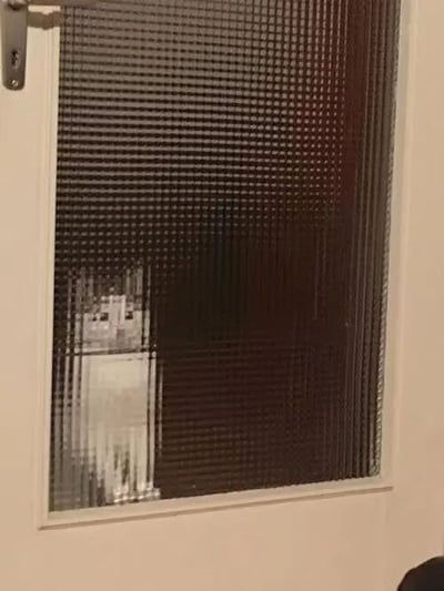 一只白猫站在带有网格纹理的玻璃门后，玻璃的特殊纹路将猫咪的形象折射成类似像素游戏《我的世界》中的方块风格。猫咪正直勾勾地盯着镜头，表情呆萌又带着一丝疑惑，仿佛在好奇为什么自己突然变成了像素生物。这种现实与游戏画风的意外碰撞产生了强烈的反差萌。
