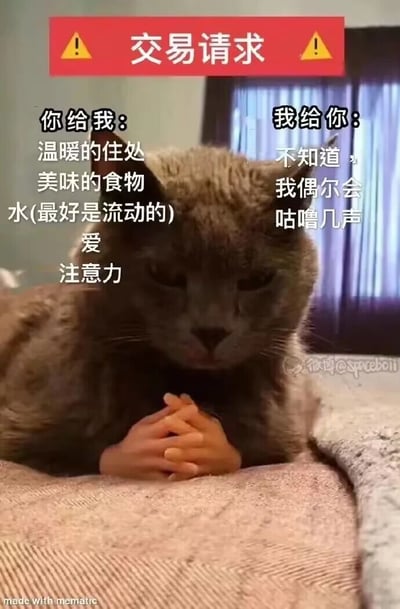 这是一张充满趣味的P图，通过视觉错位的创意手法将人的双手合成在一只灰猫的身体前方，营造出猫咪双手合十、仿佛在严肃谈判的滑稽效果。图片顶部设有红色背景搭配黄色警示标志的“交易请求”标题，清晰划分出交易的双向内容：左侧列出主人需要为猫咪提供的各项照料内容，包括温暖的住处、美味的食物、最好是流动的水、爱以及注意力；右侧则是猫咪给出的“回报”，内容是“不知道，我偶尔会咕噜几声”。这种付出与回报的强烈不对等对比，精准又幽默地调侃了猫咪傲娇、“养尊处优”，而主人需要投入诸多精力照料的宠物相处日常，充满反差笑点，很容易引发养猫人群的共鸣。