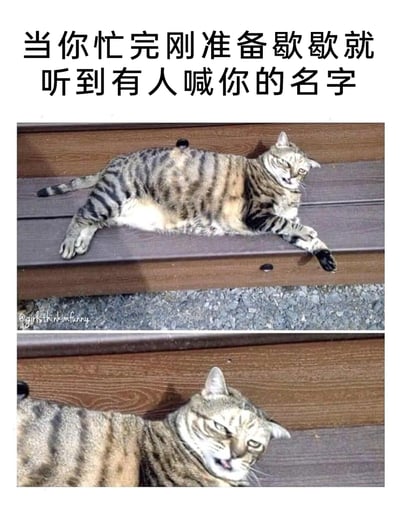 这是一张贴合日常情绪的搞笑表情包，采用上下拼接的形式呈现。上方画面中，一只虎斑猫四肢舒展地瘫在台阶上，姿态慵懒放松，完美还原了人们忙完工作或事务后终于能休息的状态；下方画面里，这只猫抬起头，眉头紧皱，表情烦躁又带着不情愿，仿佛刚要休息就被打扰。搭配顶部的配文，精准戳中了打工人、学生等群体在好不容易获得休息机会时，却被突然安排任务的崩溃与无奈，极易引发共鸣。