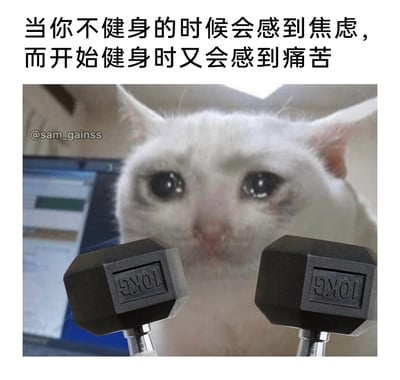 这是一张精准戳中健身爱好者心态的搞笑表情包，图中用一只泪眼汪汪、满脸委屈的白色猫咪，搭配前方刻有“10KG”字样的黑色哑铃，再配上顶部的中文文字“当你不健身的时候会感到焦虑，而开始健身时又会感到痛苦”，生动展现出健身人群的矛盾心理：不健身时会因担心身材走样、健身成果流失而焦虑，真正开始健身时又要承受运动带来的身体酸痛与疲惫，这种左右为难的无助感通过猫咪委屈哭泣的表情被放大，极易引发健身人群的共鸣。