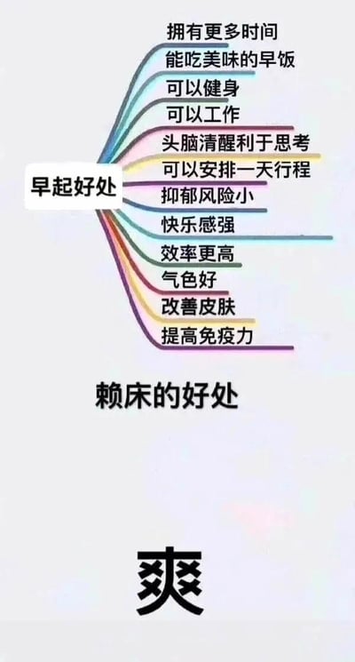这张图采用上下对比的呈现方式，上方以思维导图的形式列出了早起的13项具体好处，涵盖时间利用（拥有更多时间、可以安排一天行程）、饮食健康（能吃美味的早饭）、自我提升（可以健身、可以工作、头脑清醒利于思考、效率更高）、情绪心理（抑郁风险小、快乐感强）、身体状态（气色好、改善皮肤、提高免疫力）等多个维度；下方则用一个醒目的大字“爽”来概括赖床的唯一好处，通过这种“理性益处繁多”与“感性体验直接”的强烈反差，精准调侃了很多人明知早起益处良多，却依旧贪恋赖床舒适感的真实日常心态，内容接地气，容易引发大众共鸣。