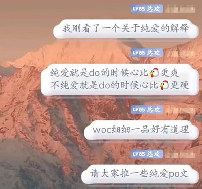 这是一张带有对话气泡的梗图，背景是红色调的山脉景观。图中包含四段对话，均来自标注为"LV85 总攻"的用户，讨论了对"纯爱"的独特解释。内容通过对比方式幽默地定义了纯爱与非纯爱的区别，最后请求推荐纯爱相关文章。