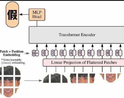 这张图详细展示了一个基于Vision Transformer（ViT）的伪造人脸检测模型的完整工作流程：
1. 输入阶段：将原始人脸图像分割为多个规则的图像块（Patch）；
2. 预处理阶段：对每个分块图像进行展平后的线性投影（Linear Projection of Flattened Patches），再添加额外的可学习[class]嵌入（标记为0*的特殊嵌入）和位置嵌入（Patch + Position Embedding），生成序列化的嵌入向量；
3. 特征编码阶段：将嵌入向量序列输入到Transformer Encoder中进行全局特征提取；
4. 输出阶段：通过MLP Head（多层感知机头部）输出检测结果“假”，完成对伪造人脸的识别。
图中用具体的人脸分块示例直观呈现了从原始图像到模型输入的转换过程，清晰解释了ViT架构在伪造人脸检测任务中的应用逻辑。