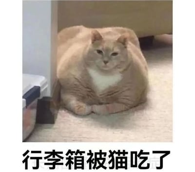 这是一张顶配底文的静态单图，图中主体是一只体型异常肥胖的橘白相间猫咪，它趴在室内的地毯地面上，前爪叠放在身前，表情慵懒淡定。猫咪的身体位置和旁边的行李箱相邻，肥胖的身形看起来仿佛是将行李箱“吞掉”了，下方配文“行李箱被猫吃了”，用夸张的玩笑手法制造视觉趣味，属于宠物类搞笑梗图，通过调侃猫咪的肥胖体型来制造笑点，适合在宠物爱好者圈子中传播，带来轻松搞笑的氛围。