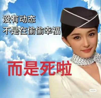 这是一张主打自嘲风格的搞笑梗图，背景为蓝天白云的天空场景，右侧是身着空姐制服、面带微笑看向镜头的演员杨幂，图片左侧及下方配有文字“没有动态 不是在偷偷幸福 而是死啦”，用先铺垫再反转的语气，以夸张的说法调侃当代人不发社交动态时，并非处于幸福状态，而是疲惫到不想社交的状态，用反差感制造笑点，精准戳中打工人的情绪共鸣点。