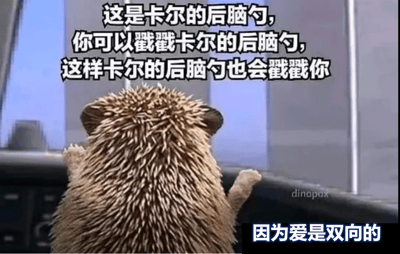图片展示了一只刺猬的背影，它正站立着，露出毛茸茸的后脑勺。图片上方有文字："这是卡尔的后脑勺，你可以戳戳卡尔的后脑勺，这样卡尔的后脑勺也会戳戳你"，底部有文字："因为爱是双向的"。整体营造出一种可爱、温馨的氛围，用拟人化的方式表达了双向奔赴的爱意。