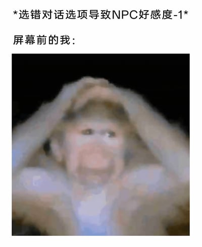 这是一张图文混排的游戏相关梗图，上方标注文字“*选错对话选项导致NPC好感度-1*”与“屏幕前的我：”，下方是一张经过模糊处理的真人表情图，图中人物双手抱头，面部表情扭曲崩溃，生动还原了剧情类游戏玩家在不小心选错对话选项，导致心仪NPC好感度下降时的懊恼、崩溃情绪，精准戳中这类玩家的游戏体验共鸣点。