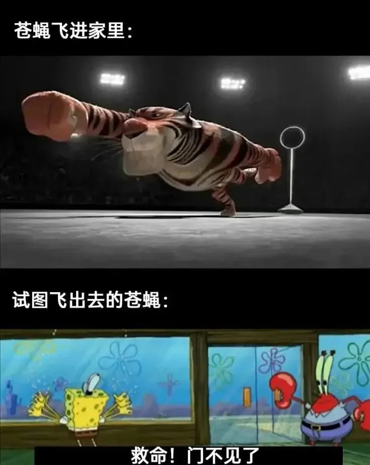 马达加斯加