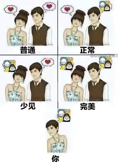 这是一张四格对比梗图，展示了不同类型的情侣关系。上左图标题为"普通"，显示一对情侣互相看着对方，两人头上都有爱心；上右图标题为"正常"，同样是这对情侣，但右上角多了两个卡通角色；下左图标题为"少见"，情侣形象相同，左上角有卡通角色；下右图标题为"完美"，情侣形象相同，右上角和左上角都有卡通角色。最下方单独一格只有女性角色，标题为"你"。