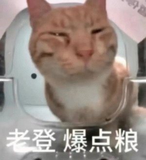 图片主体是一只橘猫，它眯着眼睛，表情略带戏谑，坐在透明容器的边缘。图片下方有白色文字'老登 爆点粮'，结合'老登'这一网络热梗，通过猫咪的表情和文字形成幽默调侃的效果。