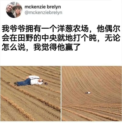 这是一张社交媒体截图，用户分享了自己爷爷在洋葱农场田野中央就地打盹的照片。上方文字描述“我爷爷拥有一个洋葱农场，他偶尔会在田野的中央就地打个盹，无论怎么说，我觉得他赢了”，下方左右两张图片分别近距离和远距离展示了老人躺在犁过的田地里休息的场景，展现出一种随性自在的田园生活状态，带有温馨幽默的氛围。