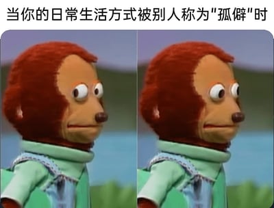 这是一张左右拼接的文字加注梗图，上方配有文字“当你的日常生活方式被别人称为‘孤僻’时”，图中是同一个木偶猴子的两张相似画面，猴子眼神呆滞，表情带着无奈又无所谓的神态，精准地传递出当自己的生活方式被他人贴上“孤僻”标签时，内心毫无波澜、不被外界评价所影响，坚持自我状态的心情，用诙谐的方式诠释了当代部分人享受独处、不在意他人眼光的生活态度。