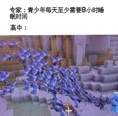 这张梗图通过上下对比的方式，幽默地呈现了理想与现实的差距。上方文字显示“专家：青少年每天至少需要8小时睡眠时间”，代表了健康生活的建议；下方以“高中：”引出一张《我的世界》游戏截图，画面中大量蓝色方块（疑似青金石矿石）密集堆叠，夸张地表现了高中生因学业压力难以保证充足睡眠的现状。