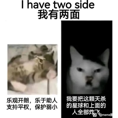 这是一张左右对比的静态meme图，顶部配有英文“I have two side”和中文“我有两面”，通过强烈的反差感来制造幽默效果。左侧是一只神态慵懒放松、趴卧着的猫咪，下方配文“乐观开朗，乐于助人，支持平权，保护弱小”，展现出友善、积极向上的正面形象；右侧是一只表情凶狠、眼神愤怒的猫咪，下方配文“我要把这颗天杀的星球和上面的人全部炸飞”，呈现出极端暴躁、充满负面情绪的另一面。整张图用夸张的方式表现人在不同情绪状态下的巨大转变，精准贴合当代人在生活中情绪起伏的真实写照，容易引发共鸣。