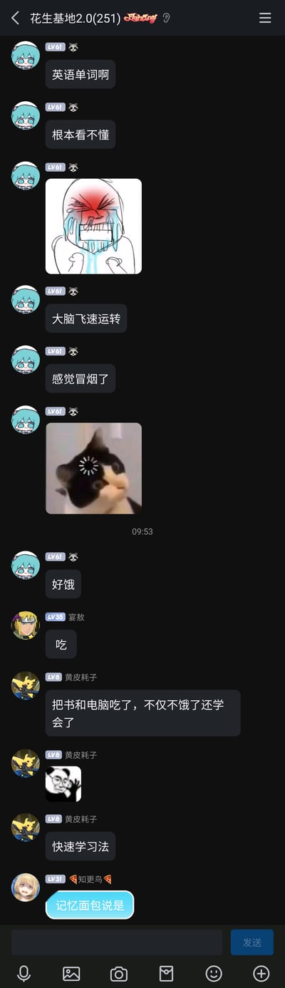 这是一张手机端的群聊截图，群名为“花生基地2.0(251)”。群内一名LV61的用户先是吐槽英语单词看不懂，形容自己学习时大脑高速运转到“冒烟”，还配上了崩溃大哭的卡通表情包和头顶冒金星的猫咪表情包，随后又表示自己很饿。其他群友纷纷回应，LV35的“宴敖”简单回复“吃”，LV8的“黄皮耗子”玩梗称“把书和电脑吃了，不仅不饿了还学会了”，还配上熊猫头表情包，将这个说法称之为“快速学习法”，最后LV31的“知更鸟”提到《哆啦A梦》里的“记忆面包”，呼应这个学习相关的玩梗内容，整体氛围轻松搞笑，是学生群体常见的学习吐槽与趣味互动场景。