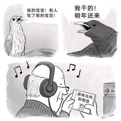 这是一幅黑白连环漫画，分为上下两个部分。上半部分呈现了一场鸟界的冲突：左侧的浅色鸟儿张大嘴巴，神情悲痛欲绝，哭喊着“我的宝宝！有人吃了我的宝宝！”；右侧的深色乌鸦则态度嚣张，张嘴叫嚷着“我干的！明年还来”，展现出毫无悔意的挑衅姿态。下半部分则切换到人类的日常场景：一位头发花白的老人戴着大耳机，脸上带着放松惬意的微笑，手中拿着标注“森林鸟鸣助眠音”的音频介质，正沉浸在助眠音频中。漫画通过将鸟界的悲剧冲突包装成人类的助眠音频这一设定，形成了强烈的荒诞反差，制造出幽默的效果，让读者在反差中感受到笑点。