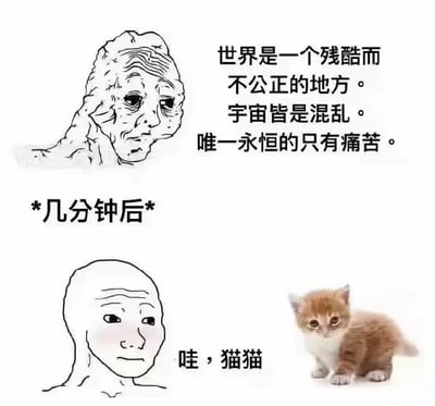 这张梗图分为上下两部分，上半部分是一个看起来很绝望、充满负能量的角色形象，旁边配有表达世界残酷、宇宙混乱、只有痛苦才是永恒的颓废文字；下半部分经过“*几分钟后*”的转场，角色看见一只可爱的小猫，立刻变成了激动单纯的样子，并发出“哇，猫猫”的感叹。整体强烈反差展现了人因生活苦闷而消沉，但被小动物治愈的共鸣场景，极具网络共情力。

没有明显谐音梗，但表现出强烈的情绪反差和治愈暗示。