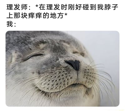 这是一张图文结合的搞笑梗图，上方文字构建了一个日常理发场景：理发师在理发过程中，恰好碰到了“我”脖子上那块发痒的部位；下方则用一张海豹的照片来对应“我”的反应——照片里的海豹双眼紧闭，嘴角自然上扬，面部神态满是满足与惬意，精准还原了被碰到痒处时那种又痒又爽、放松享受的微妙感受，用动物的生动神态将生活里的小细节具象化，极易引发大众共鸣。