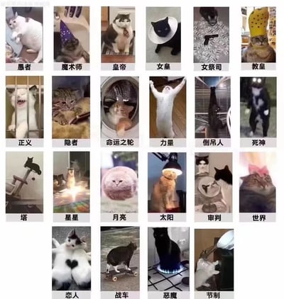 这是一张多图拼接的萌宠梗图，采用网格布局展示了22只形态各异的猫咪，每只猫咪对应一张塔罗牌名称（如“愚者”“魔术师”“皇帝”“女皇”等）。猫咪们通过佩戴不同道具（帽子、领带、纸盘）或摆出特定姿势（站立、躺卧、举手），生动还原了塔罗牌的经典意象，将严肃的塔罗文化与可爱的猫咪元素结合，形成幽默又治愈的视觉效果。