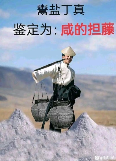 这是一张经过P图改编的网络搞笑梗图，创作者将丁真的形象修改为挑着担子卖盐的模样，前景添加了两座盐堆，背景保留了开阔的高原地貌。图上方配有文字“鬻盐丁真 鉴定为：咸的担藤”，其中“咸的担藤”是谐音“闲的蛋疼”的网络调侃用语；丁真戴着斗笠，面带笑容，肩上挑着装有盐的容器，整体通过形象改编与谐音梗结合，营造出搞笑调侃的效果。