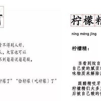人类四大本质