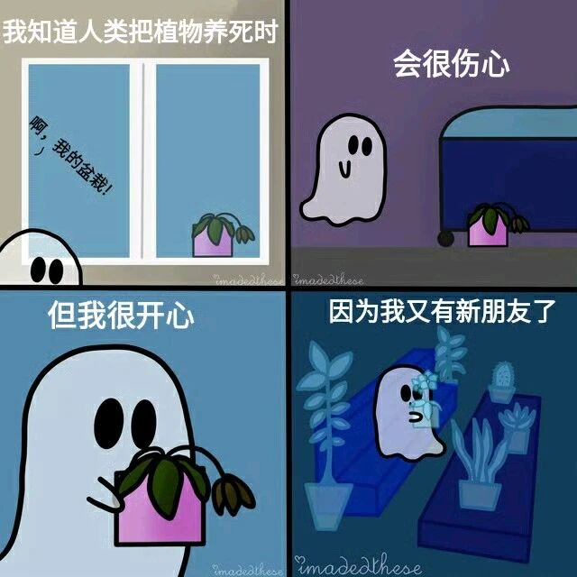 幽灵