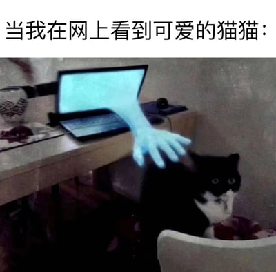 图片上方配有文字'当我在网上看到可爱的猫猫:'，下方画面中一只黑白相间的猫咪坐在椅子上，一只泛着蓝光的手正从笔记本电脑屏幕中伸出，仿佛想要穿过屏幕抚摸猫咪。这个梗图幽默地表达了人们在网上看到可爱猫咪时，想要穿过屏幕触摸它们的强烈欲望。