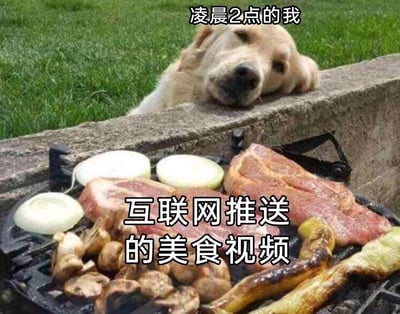 这是一张贴合当代人互联网使用日常的搞笑梗图。画面上方是一只金毛犬，它趴在石质台面上，眼神疲惫却带着明显的馋意，头搭在台边，目光紧紧锁定着下方烤架上的美食，配文“凌晨2点的我”，精准表现出深夜本应休息却精神被勾住的状态；下方烤架上摆放着正在烤制的鲜嫩烤肉、烤蘑菇、烤洋葱和烤蔬菜，配文“互联网推送的美食视频”，用美食的诱惑力来比喻算法推送的内容。整张图通过拟人化的方式，生动还原了很多人深夜刷手机时，明明困得不行，却被互联网推送的美食视频勾起强烈食欲，陷入又困又馋的矛盾状态的真实经历，充满共鸣感。