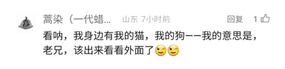 这是一张静态的社交媒体评论截图，画面展示了一条用户发布的评论内容。评论用户的昵称为“蒿染（一代蜡...”，系统显示其所在地为山东，发布时间为7小时前，该评论获得了1个点赞。评论内容以轻松幽默的方式展开，先是提及“我身边有我的猫，我的狗”，随后话锋一转，用“我的意思是，老兄，该出来看看外面了”来调侃对方，还搭配了两个眨眼的表情，语气俏皮，意图劝说对方不要一直局限在自己的小空间里，多走出家门接触外界，属于朋友或网友间的趣味互动内容。