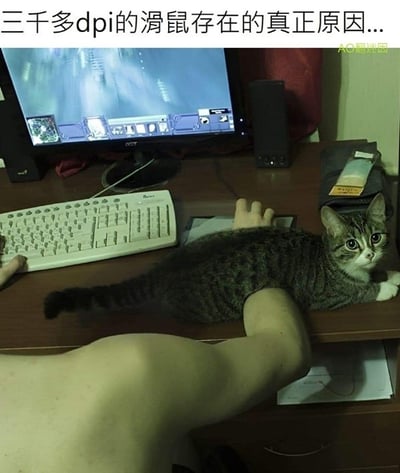 一张办公桌场景图，桌上有电脑显示器、键盘，一只虎斑猫趴在桌面上，正好挡住了人伸手去够鼠标的路径。图片上方配有文字“三千多dpi的滑鼠存在的真正原因...”，幽默地暗示高DPI鼠标的存在是为了在猫咪占据桌面时仍能精准操作。