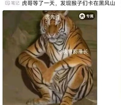 图片主体是一只盘腿坐立、双臂交叉的老虎，表情显得疲惫。上方配有文字“虎哥等了一天，发现猴子们卡在黑风山”，老虎头部标注“虎先锋”，身体部位有文字“今夜特别漫长”，右上角有“专属”标识。整体通过动物拟人化的方式，幽默表现虎哥等待猴子们的无奈与漫长。