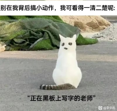 这是一张利用视觉错位效果制作的校园主题搞笑梗图。画面并非真实的动物，而是地面上的白色污渍、前方的猫尾巴，再结合背景里的两个黑点，巧合地组成了类似猫的形象，这个形象恰好对应了“老师背对学生在黑板板书”的姿态。图上方配文“别在我背后搞小动作，我可看得一清二楚呢”，下方配文“正在黑板上写字的老师”，精准还原了课堂上的经典场景：老师看似背对学生专注板书，却总能察觉到学生的小动作，用幽默的视觉和文案结合，引发有校园学习经历的人的共鸣，调侃了这一让人熟悉的校园日常。