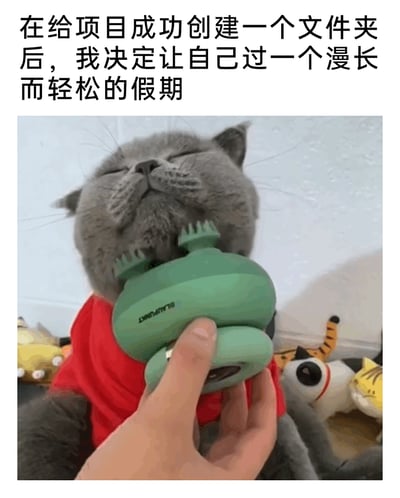 这是一张图文混排的搞笑职场梗图，上方配文为“在给项目成功创建一个文件夹后，我决定让自己过一个漫长而轻松的假期”，图中主体是一只穿着红色衣服的灰色英国短毛猫，它闭着眼睛、头部后仰，一脸享受地被人用绿色的BLAUPUNKT品牌按摩器按摩颈部。猫咪满足放松的神态，完美契合了配文里职场人仅完成创建文件夹这一微小工作节点，就想要彻底放松放假的夸张心态，用幽默的方式调侃了职场中部分人“摸鱼”“躺平”的趣味心理，引发职场人的共鸣。