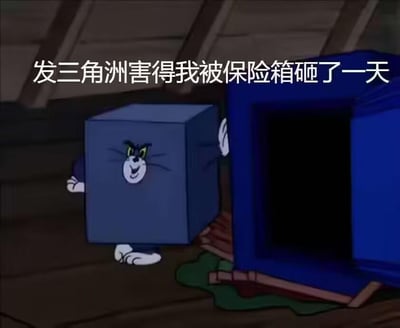 这是一张改编自动画《猫和老鼠》的梗图，画面中汤姆猫被套在一个类似保险箱的方块里，身旁是被砸坏的地板和一个空的蓝色大保险箱，上方配文“发三角洲害得我被保险箱砸了一天”。图中用汤姆倒霉憋屈的经典形象，结合玩《三角洲》相关游戏时的糟糕体验，以搞笑的方式抒发不满情绪，将游戏里的受挫感具象成被保险箱砸的倒霉经历，没有双关或谐音梗。