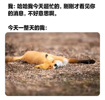 图片上方文字为“我: 哈哈我今天超忙的，刚刚才看见你的消息，不好意思啊。”，下方文字“今天一整天的我:”引出一张狐狸躺在干枯草地上熟睡的照片，通过文字与图片的反差，幽默调侃了嘴上说忙碌实际却很悠闲的状态。
