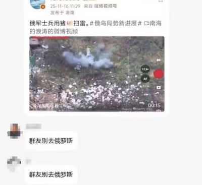 这是一张由两张截图拼接而成的静态网络梗图，上半部分为2025年11月16日发布自湖南的微博视频号内容截图，配文称俄军士兵使用猪进行扫雷作业，附带#俄乌局势新进展#相关话题标签，下方绑定的视频画面显示野外地面升起烟雾，视频总时长15秒，当时已有4765次观看；下半部分为即时通讯群聊的截图，两名匿名群友先后发送了完全相同的内容“群友别去俄罗斯”，结合上方的新闻内容玩梗，调侃前往俄罗斯会有像被用来扫雷的猪一样的危险处境。