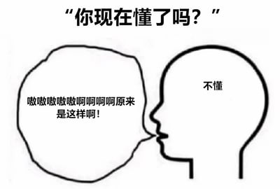 这是一张搞笑梗图，展示了两个人物头部的简笔画轮廓相对而立。上方配有文字"你现在懂了吗?"，左侧人物头部内写着"嗷嗷嗷嗷嗷啊啊啊原来是这样啊!"，表现出恍然大悟的激动情绪，而右侧人物头部内只有简单的两个字"不懂"，形成鲜明对比，幽默地表现了沟通中的理解偏差。