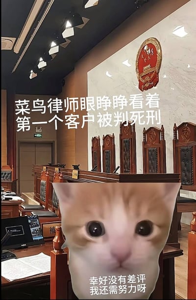 这是一张二次创作的搞笑梗图，背景为真实的法庭内部场景，墙面悬挂国徽，整齐摆放着法官席、诉讼席等法庭专属设施，画面下方P上了一张睁着大圆眼、表情懵懂的橘猫表情包。上方配文调侃刚入行的菜鸟律师眼睁睁看着自己的第一个客户被判死刑，下方配文则模拟该律师的心态称幸好没有差评、自己还需要努力，用夸张的黑色幽默反差感，调侃新人从业者工作出了严重失误却还在在意无关紧要的评价、自我安慰的状态，笑点十足。