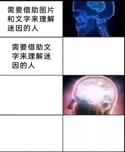 这是一张采用经典能力分级模板制作的四格梗图，通过图文结合的方式对人群理解网络迷因的能力进行分级：左上区域标注“需要借助图片和文字来理解迷因的人”，右侧搭配仅显示小部分大脑的X光人头图，象征这类人对迷因的理解门槛高、能力弱；右上区域标注“需要借助文字来理解迷因的人”，对应空白区域；左下为空白区域，右下则搭配大脑完全点亮的人头透视图，代表无需借助图片或文字就能理解迷因的最高层级人群，整体通过这种对比调侃不同人群对网络迷因的理解能力差异。