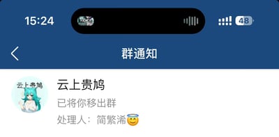 这是一张手机端微信群聊通知的截图，顶部蓝色状态栏显示时间为15:24，剩余电量为48%，页面标题为“群通知”。通知内容显示名为“云上贵鸠”的微信群已将查看者移出本群，处理人为简繁浠，附带一个带光环的微笑表情，该群的头像是青发猫耳的二次元少女形象，头像上方标注了“云上贵鸠”字样。
