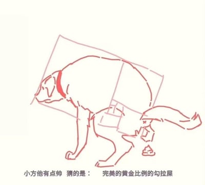 这是一幅红色线条绘制的趣味涂鸦，主体是一只戴着红色项圈的小狗，正处于排便的姿势，小狗的身体被用类似黄金比例的矩形框标注出来。画面下方配有文字“小方他有点帅 猜的是：完美的黄金比例的勾拉屎”，其中“勾”是“狗”的谐音，用专业的黄金比例概念搭配日常滑稽的排便场景，形成强烈反差感，充满搞笑趣味。