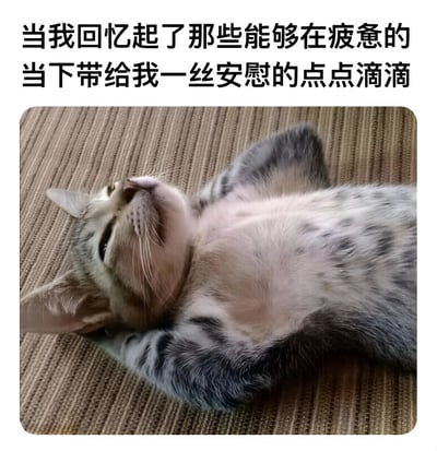 图片上方有文字'当我回忆起了那些能够在疲惫的当下带给我一丝安慰的点点滴滴'，下方是一只灰白相间的猫仰躺在棕色纹理表面上，眼睛微闭，表情放松惬意，展现出舒适满足的状态。