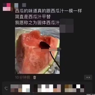 这是一张社交媒体截图，画面上方是白色文字评论：“西瓜的味道真的跟西瓜汁一模一样 简直是西瓜汁平替 我愿称之为固体西瓜汁”，下方配有一张装在透明塑料容器中的西瓜块照片，西瓜色泽鲜红，表面有光泽。整体通过幽默的方式将西瓜调侃为“固体西瓜汁”，玩梗“平替”概念，展现生活中的趣味观察。
