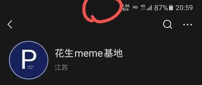 这是一张深色模式下的手机屏幕截图，展示了一个名为“花生meme基地”的社交媒体账号主页。页面左侧是蓝色圆形内带有白色字母“P”的账号头像，右侧显示账号名称“花生meme基地”以及所在地“江苏”。页面顶部的手机状态栏显示了当前网速2.56K/s、HD标识、4G网络状态、87%的电量和20:59的时间，红圈标注了状态栏左侧的空白区域；页面右上角设有搜索图标和更多选项图标，整体界面简洁，聚焦于账号基础信息展示。