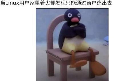 这是一张针对Linux用户的搞笑梗图，上方配文“当Linux用户家里着火却发现只能通过窗户逃出去”，图中是瑞士动画《企鹅家族（Pingu）》的主角Pingu，它交叉着手臂、翘着二郎腿瘫坐在椅子上，眼神放空，摆出一副无奈摆烂的姿态。这个梗玩了Linux系统术语的歧义：在Linux系统里“window”指的是系统窗口，当用户遇到家里着火的紧急情况，可能第一时间联想到的是系统里的窗口，反应过来只能从现实的窗户逃生时，就会呈现出这种哭笑不得、摆烂的状态，用卡通企鹅的形象生动表现出Linux用户的这种心情。