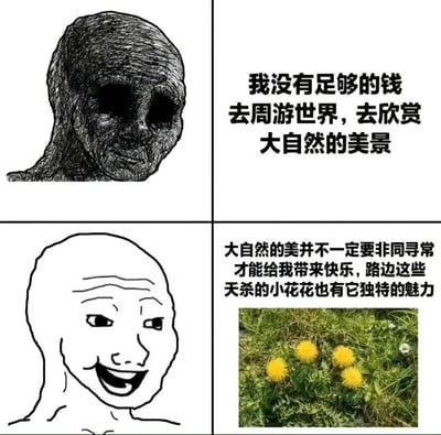 四格漫画形式的梗图，通过对比表达没钱旅行也能欣赏身边小美的幽默态度。上左为恐怖风格的人脸素描，上右文字写着'我没有足够的钱去周游世界，去欣赏大自然的美景'；下左为笑脸光头人物简笔画，下右为路边黄色小野花照片，配文'大自然的美并不一定要非同寻常才能给我带来快乐，路边这些天杀的小花花也有它独特的魅力'。