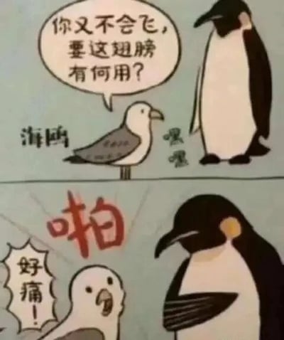 这是一幅两格的连环卡通图，上格中，海鸥站在企鹅身旁，带着嘲讽的语气对企鹅说道“你又不会飞，要这翅膀有何用？”，还配有“嘿嘿”的嘲讽语气词，表现出海鸥对企鹅翅膀用途的刻板印象；下格中，企鹅直接用自己的翅膀扇向海鸥，伴随“啪”的拟声词，被扇中的海鸥露出痛苦的表情，大喊“好痛！”。这幅图的笑点在于打破了海鸥对企鹅翅膀的固有认知，证明企鹅的翅膀即便不能飞行，也有其他用途，调侃了以固有印象评判事物的行为。