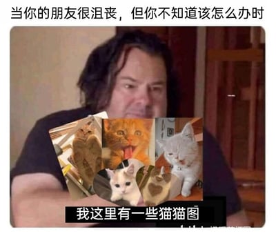 这是一张图文混排的P图改编梗图，上方文字设定了“朋友沮丧但自己不知如何安慰”的社交场景，图中是一位表情局促无措的真人男性，他展示出多张神态各异的可爱猫咪图片，下方配文“我这里有一些猫猫图”，用分享治愈系宠物内容的方式来安慰情绪低落的朋友，精准贴合了当下很多人用可爱宠物内容缓解负面情绪的日常社交习惯，整体风格幽默又温暖，能引发网友的共鸣。